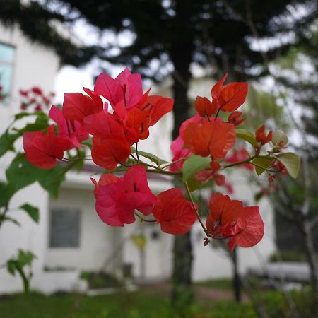 Field House B&B يولي المظهر الخارجي الصورة
